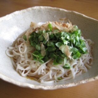 青紫蘇の新芽うどん